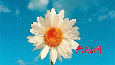 单选题a与b的平方差可表示为A.（a－b）2B.a－b2C.a2－bD.a2－b2